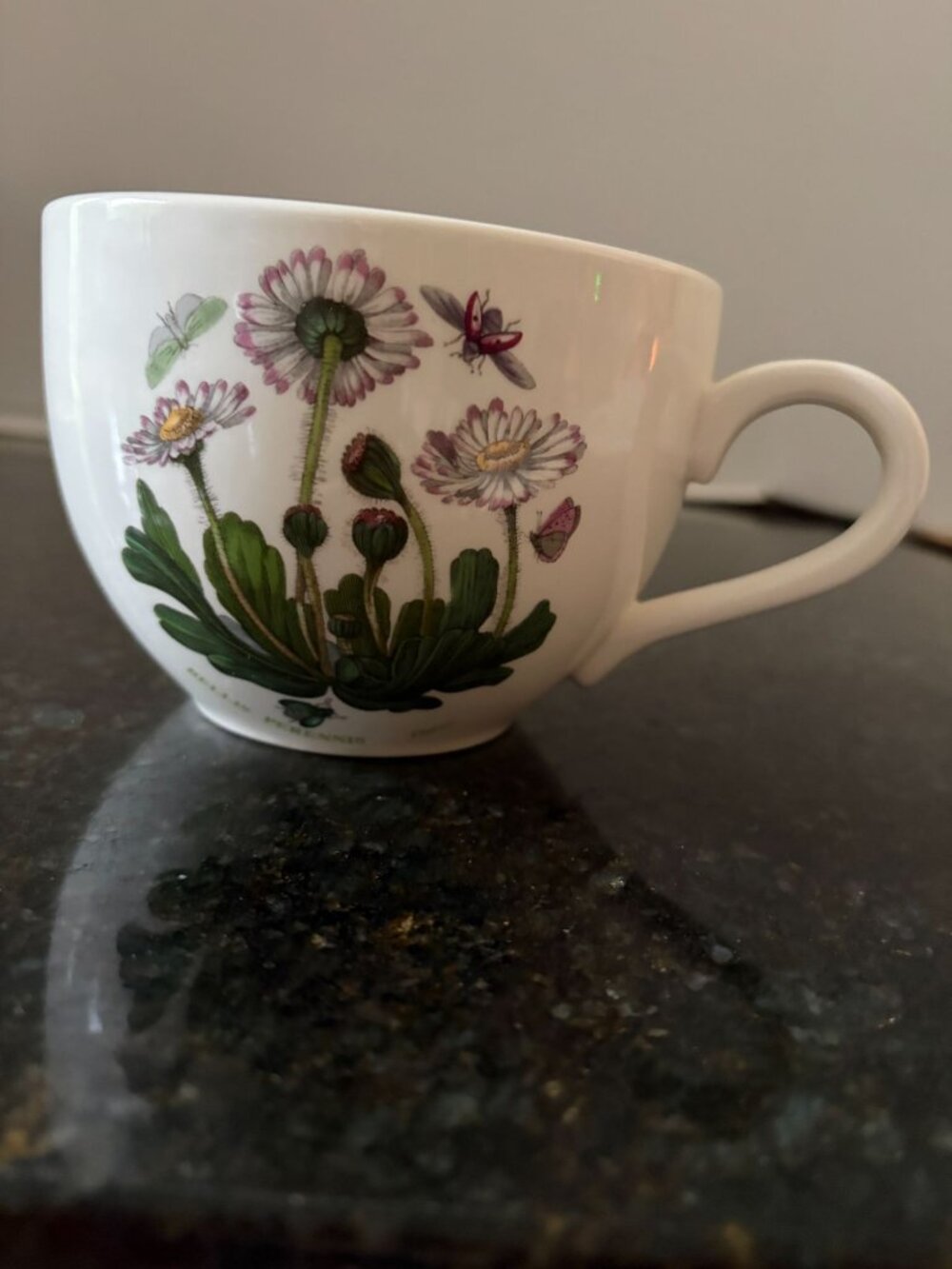 Portmeirion Botanic Garden 5" Wide, Ceramic Daisy Jumbo Coffee Cup
